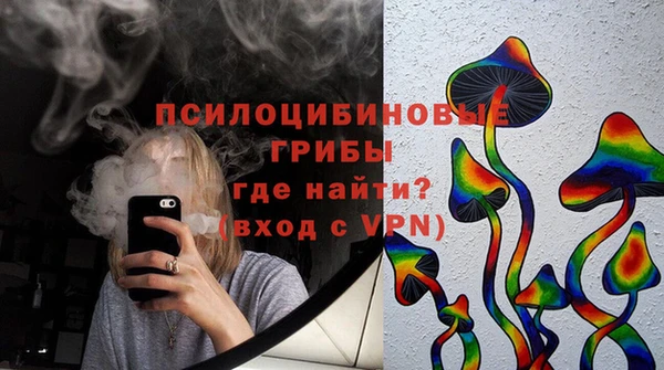 дурь Алексеевка