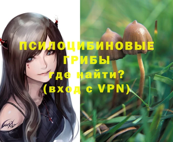 экстази Алзамай