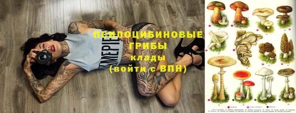 метадон Алексин