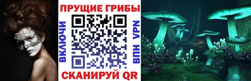 Псилоцибиновые грибы GOLDEN TEACHER  Устюжна 